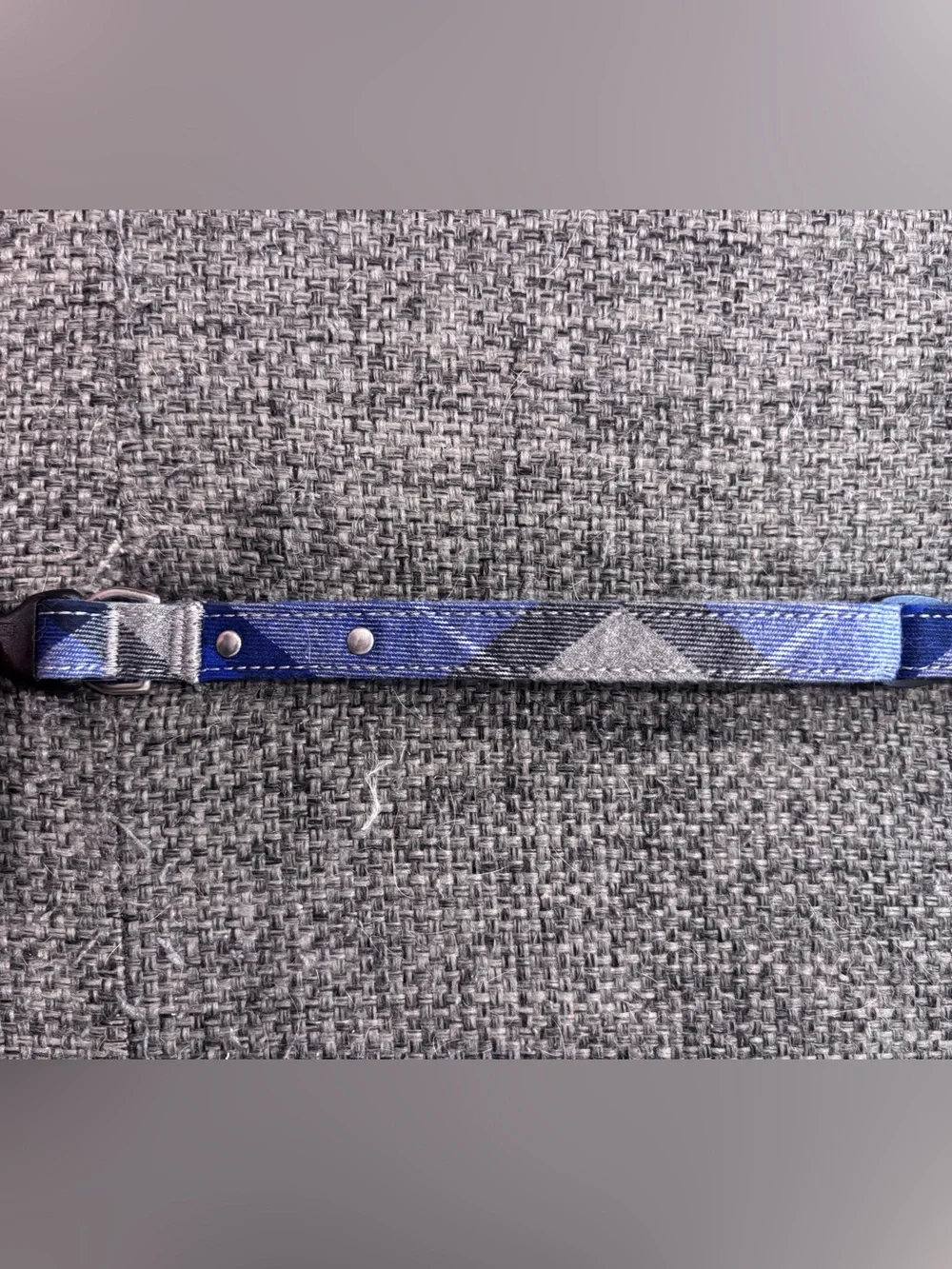 Toto & Pal denim style